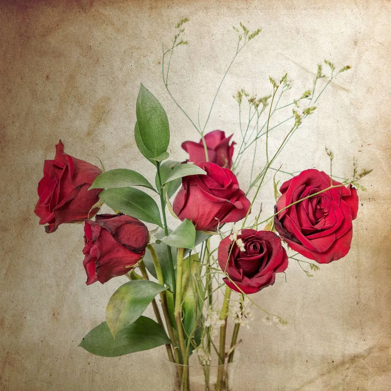 Rote Rosen in einer Vase